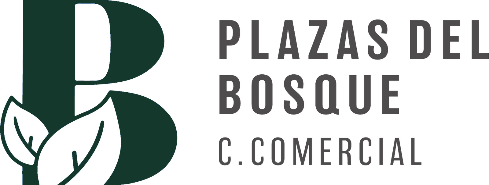 Plazas del Bosque Centro Comercial
