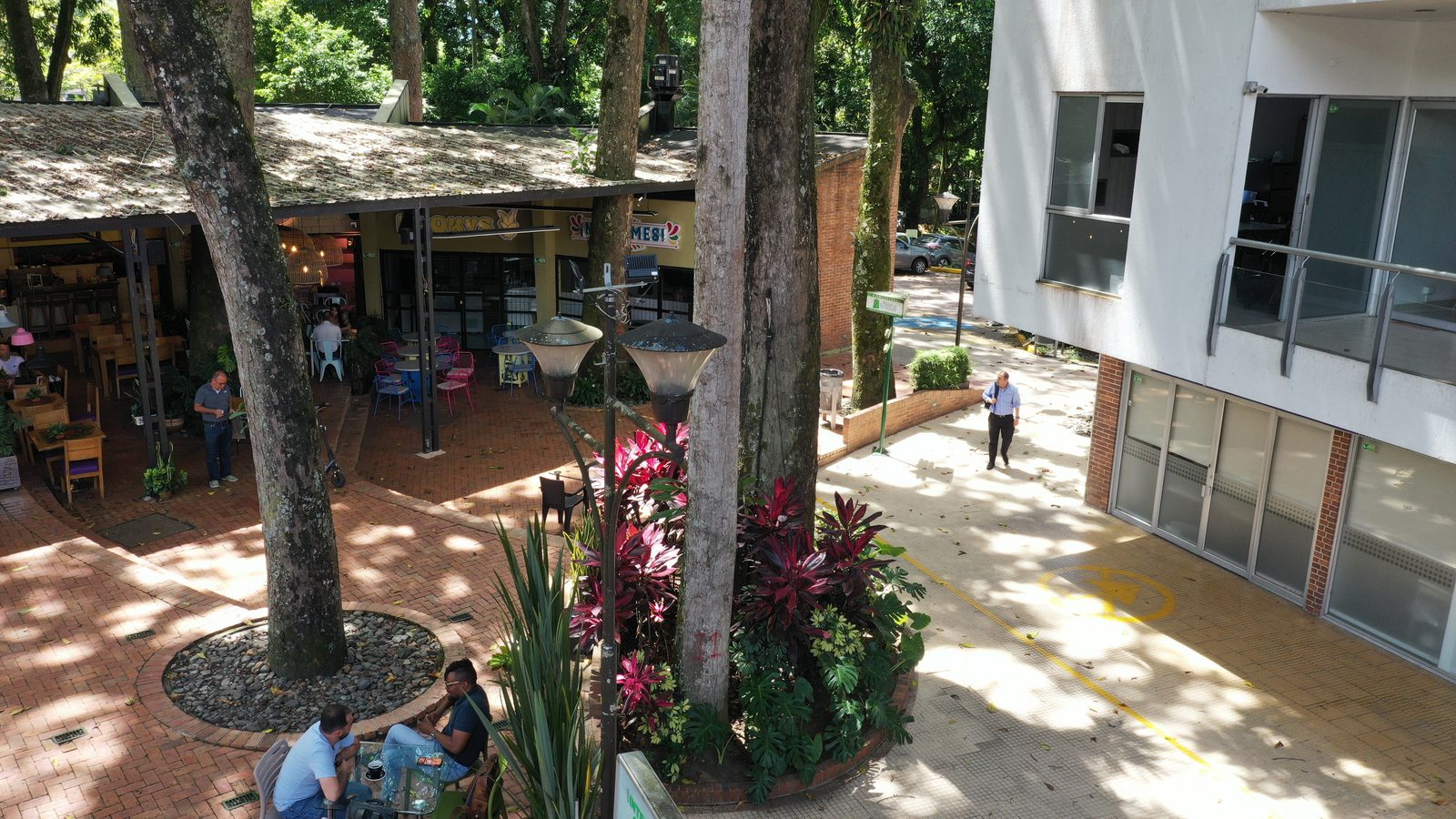 Recorrido peatonal entre locales, oficinas, jardines y árboles